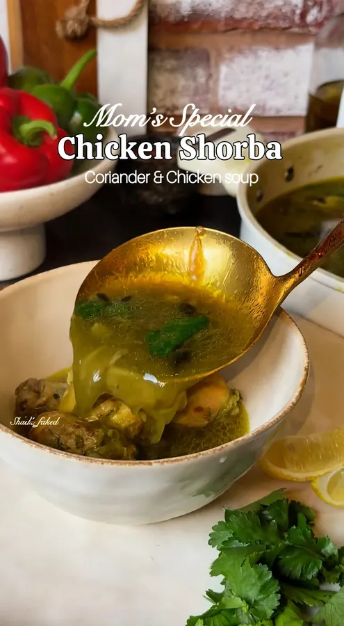 Chicken Shorba (Spicy Chicken Soup)